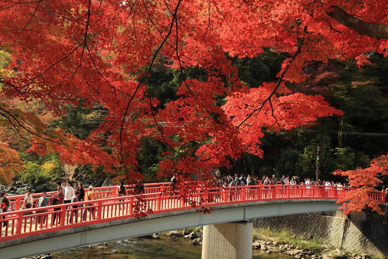 hẻm núi korankei mùa lá đỏ